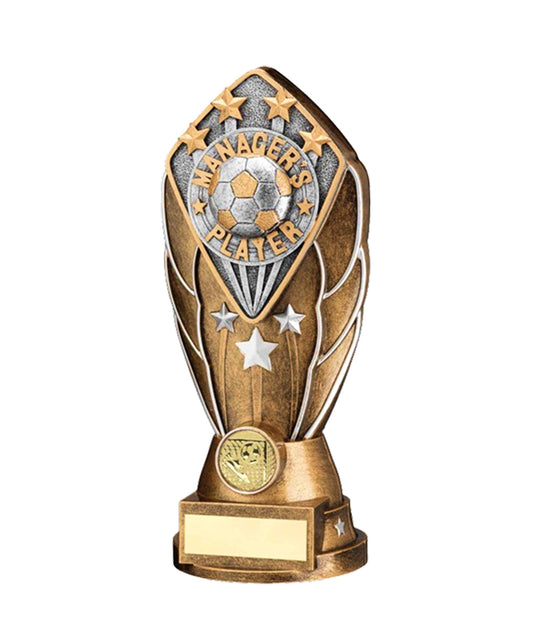 Crystal Effect Silver & Gold "Players' Player" Trophy