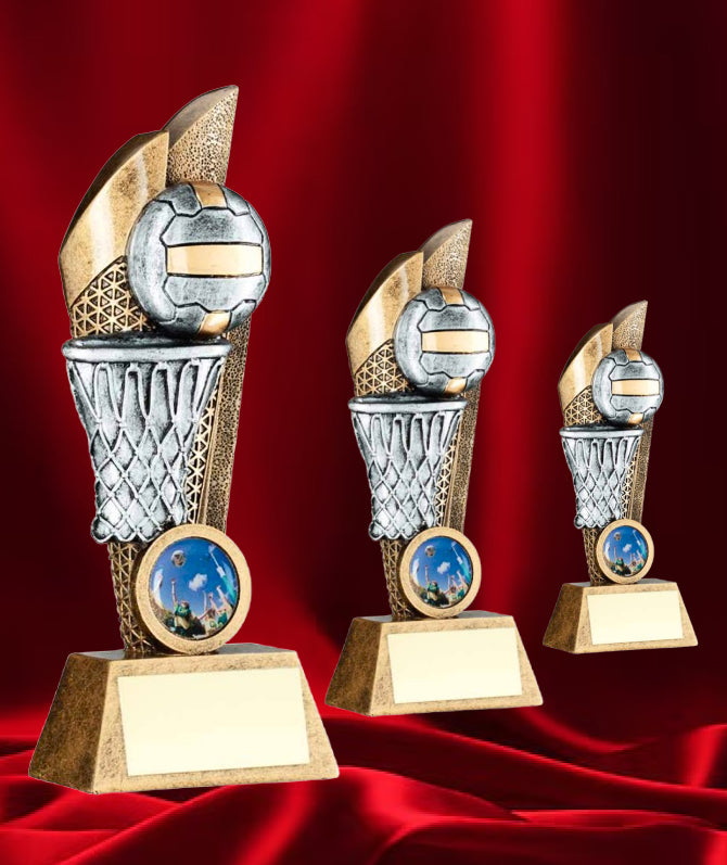 The Netball Hoop and Ball Award