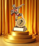 Rugby Shield and Star Award
