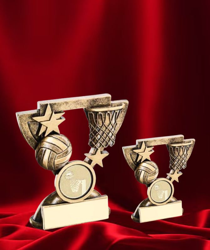 The Netball Arch Award