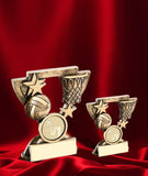 The Netball Arch Award