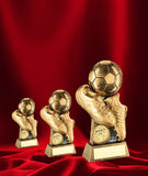 Crystal Effect "Player of the Year" Cup Trophy