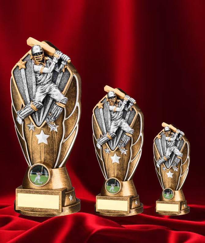 Crystal Effect Silver & Gold Winged Cricket Batting Trophy