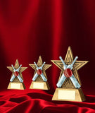 Crystal Effect Gold & Silver Star Cricket Trophy