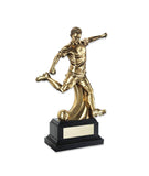 Crystal Effect Gold & Silver Star Football Trophy