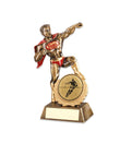 Rugby Shield and Star Award