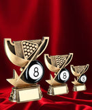 The Pool Champion Award