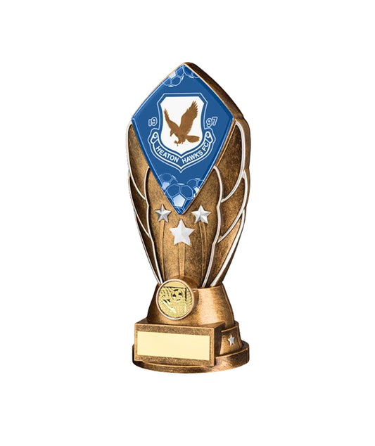 Crystal Effect Silver & Gold "Man of the Match" Trophy