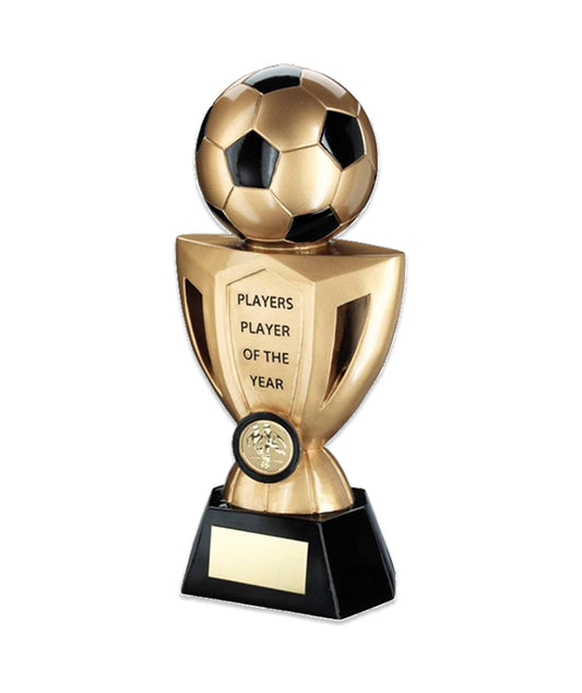 Crystal Effect Gold & Silver Star Shield Trophy