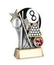 The Pool Star Award