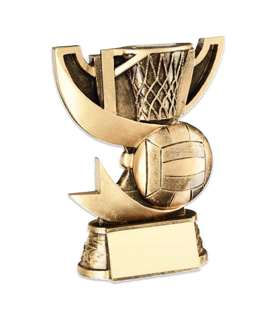 The Geometric Netball Trophy