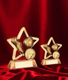 Crystal Effect Gold & Black Swirl Trophy