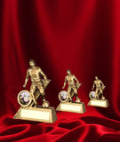 Crystal Effect Silver & Gold "Top Goalscorer" Trophy