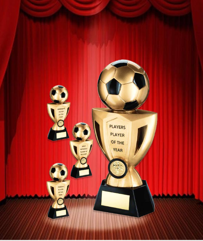 Crystal Effect Gold & Silver Star Shield Trophy