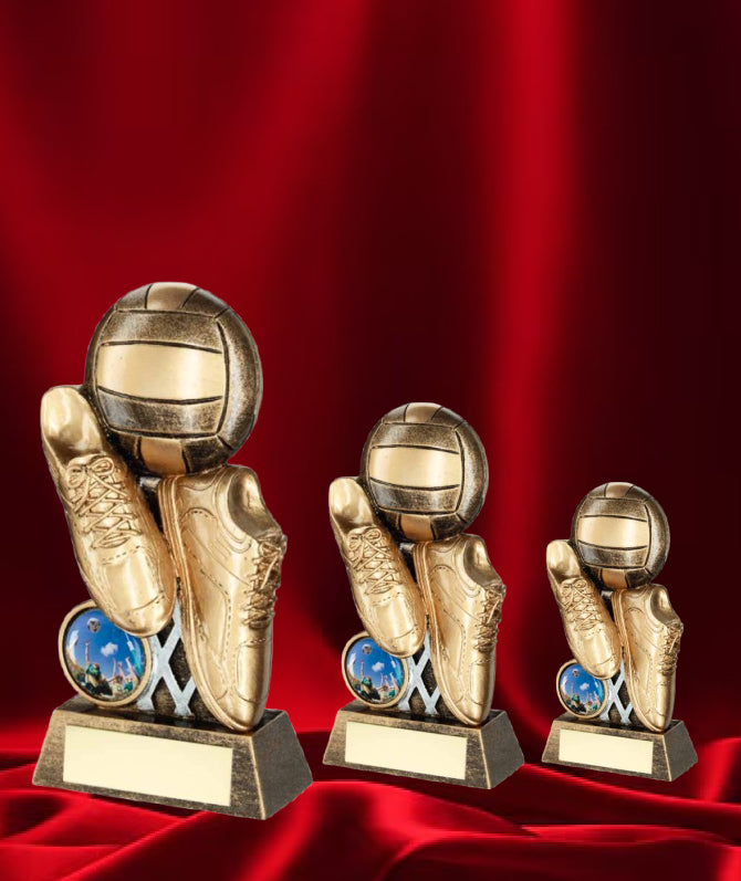 The Netball Star and Boot Award