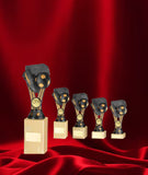 Crystal Effect Gold & Silver Modern Footballer Trophy
