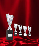 Crystal Effect Gold & Silver Football Shield Trophy