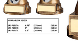 Crystal Effect Gold & Silver Football Player Trophy