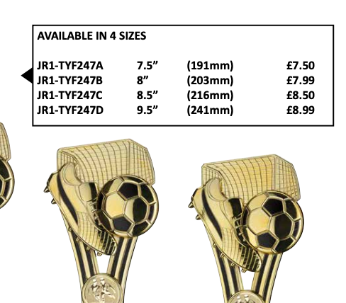Crystal Effect Silver & Gold Football Starburst Trophy