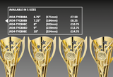 Crystal Effect Gold & Black Female Footballer Trophy