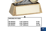 Crystal Effect "Players' Player" Cup Trophy